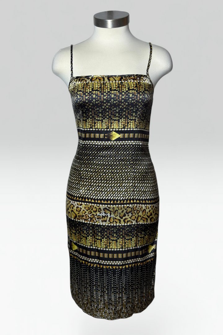 COMING SOON: class by Roberto cavalli layered silk dress