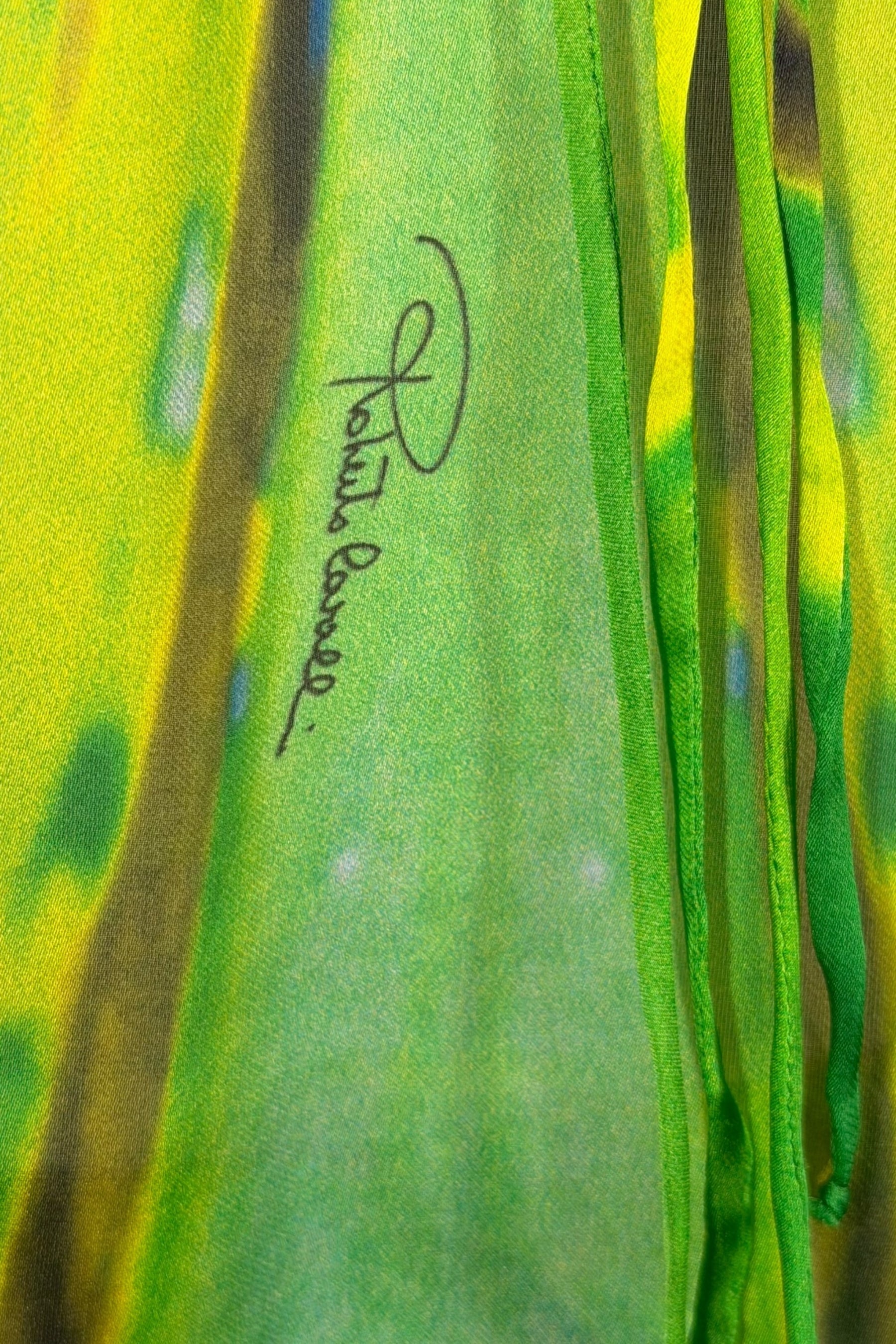 Roberto Cavalli 1996 Green Abstract Silk Hooded Tunic | Italian Vintage