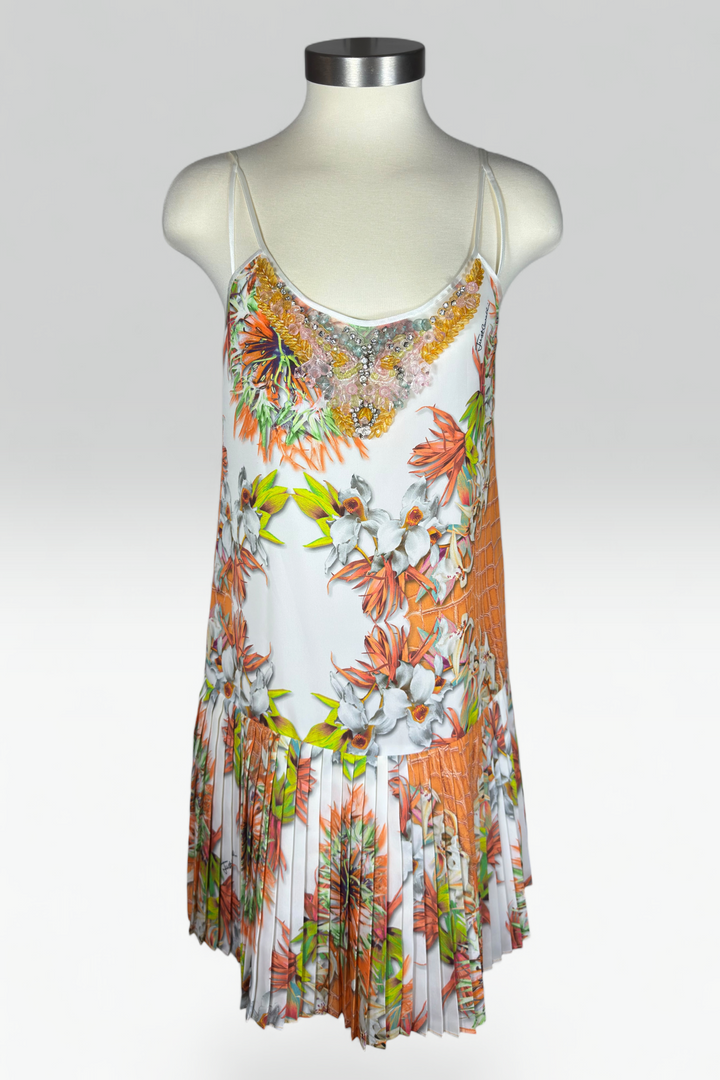 COMING SOON: Cavalli (21)