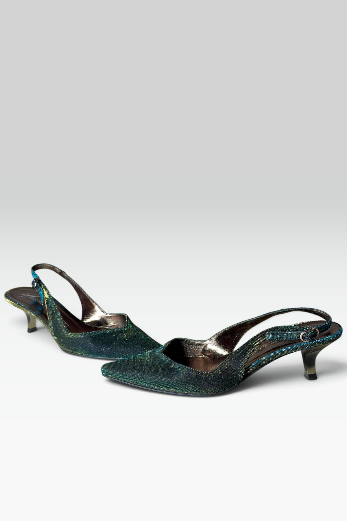 GIUSEPPE ZANOTTI DESIGN IRIDESCENT POINTED-TOE KITTEN HEELS | ITALIAN SECONDHAND