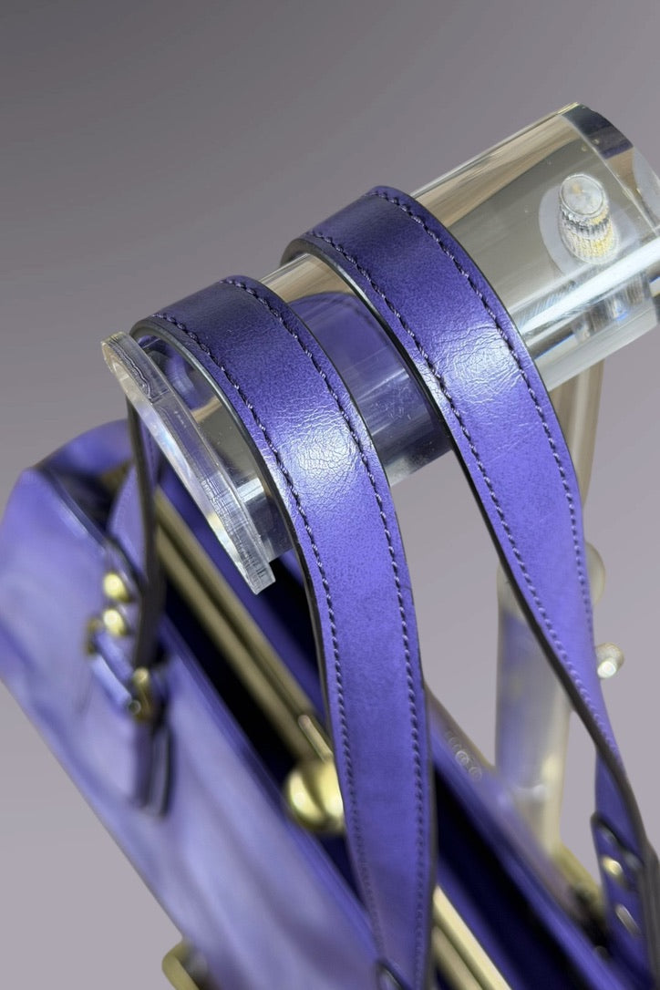 Anna Sui Purple Leather Frame Bag | American Secondhand